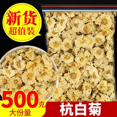 菊花茶杭白菊桐乡特级正宗杭菊杭州白菊花茶贡菊黄菊500g正品新花