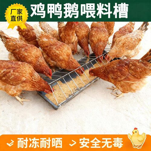 新款喂食槽干湿两用喂鸡槽聚丙烯食槽长方形喂料槽户外养殖神器