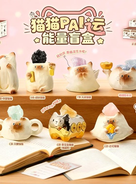 猫猫pai盲盒能量水晶盲盒摆件原石小豆丁暹罗猫手办生日礼物女