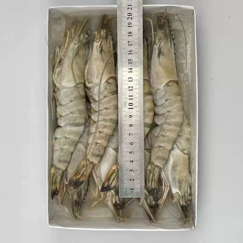 广州发货广东特快到每盒净重5条1斤老虎虾新鲜海捕急冻特大鬼虾