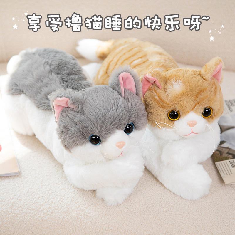 玩具儿童真新款可爱公仔娃娃靠枕猫咪陪伴枕小猫咪橘猫毛绒抱