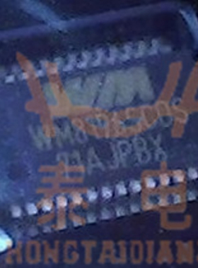 全新原装WM8196SCDS/R WM8196SCDS模数转换器SSOP28封装 现货