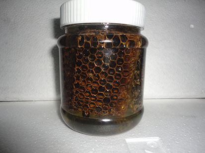 黑蜂品蜂巢蜜生槐花蜂蜜老巢蜜蜂蜜纯正天然农家蜂巢400克装