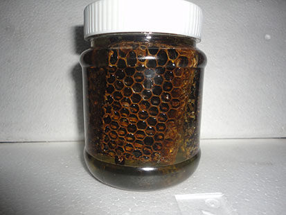 黑蜂品蜂巢蜜生槐花蜂蜜老巢蜜蜂蜜纯正天然农家蜂巢400克装