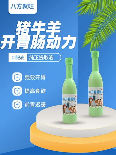 Свиной рогатый скот и овечья желудочно -кишечная мощность Перора