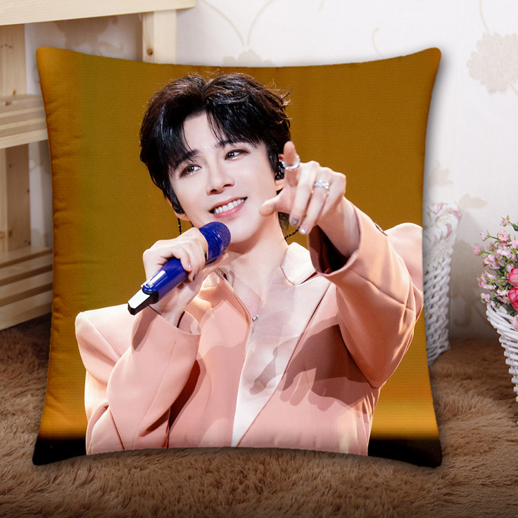 来图定制刘宇宁抱枕魏邵南珩办公腰垫车载靠背演唱会应援周边礼物