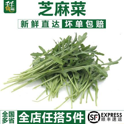 芝麻菜500g 新鲜蔬菜沙拉食材 生菜 西餐 火箭菜 江浙沪皖5件包邮