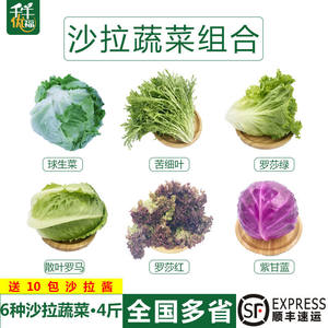 新鲜组合斤装红叶生菜沙拉轻食