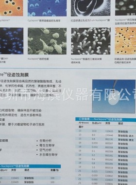 WHATMAN径迹蚀刻滤膜25MM 110605 0.1UM聚碳酸酯滤膜批发
