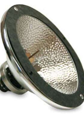 Spectroline BLE-35RAF紫外灯用散光灯泡及反射罩MAXIMA ML-3500