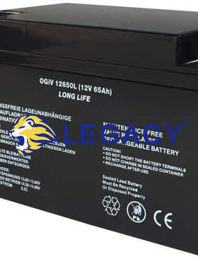 德国RPower蓄电池 OGIV126500L 12V65AH UPS电源  船舶电池