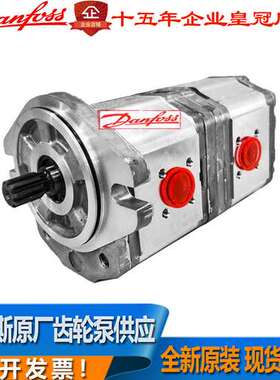 萨澳油泵SNW2NN/017R106GFNNE6E5NNNN/NNNNN丹佛斯双联泵原装