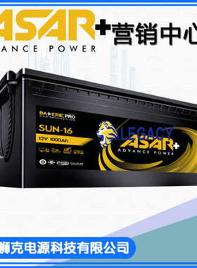 德国ASAR蓄电池M16 12V220AH C13 12V110AH船舶电池 汽车动力电池