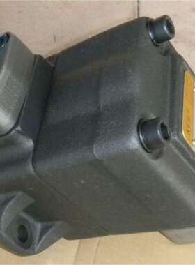 台湾KCL凯嘉VQ325-125-38-F-RALD-01 液压油泵VQ325-82-52FRABA