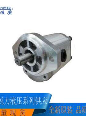 台湾REXPOWER锐力齿轮泵RGP-F319R-19-C-L43 RGP-F319R-K4-C-L03