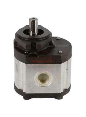 意大利RONZIO罗茨齿轮泵03ZBG30L265R 02ZCG14L435D 01ZA016C406D