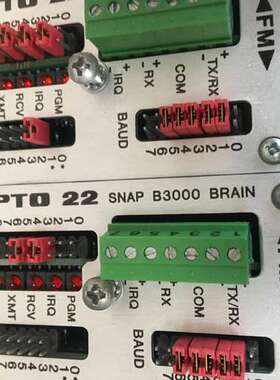 OPTO 22 SNAP B3000 BRAIN 充新