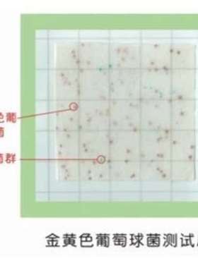 金黄色葡萄球菌测试片