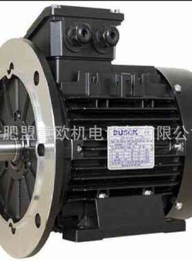 瑞典Busck单相电机