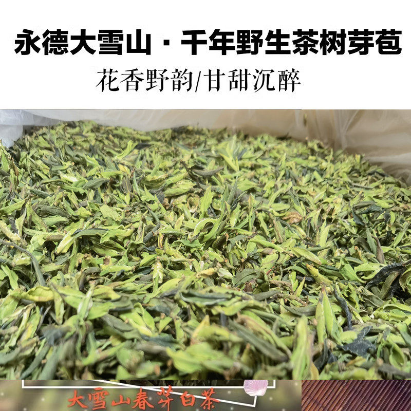 【大雪山野生古树白茶芽苞】上新云南月光白茶100g花蜜香 山野韵,茶,普洱,淘宝优惠券,粉丝福利购,淘宝优惠卷