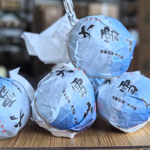 2024春永德大雪山乔木古树白茶