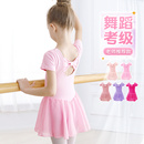 中国舞芭蕾舞服体操服 儿童舞蹈服女童夏季 跳舞衣服练功服幼儿短袖