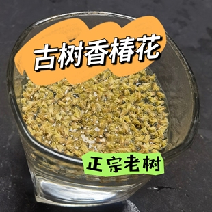 正宗精选新品香椿花 香椿花茶野生老树 香椿花 中药材 香椿树花