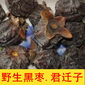 精选大黑枣药用黑枣君迁子野生黑枣特价新货野柿子颗颗精选中药材