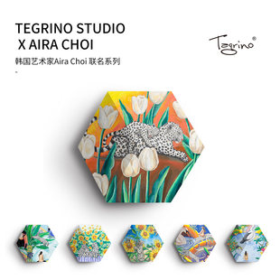 Tegrino德国 Shape音响面罩 音箱透声布aira choi系列 自由搭配