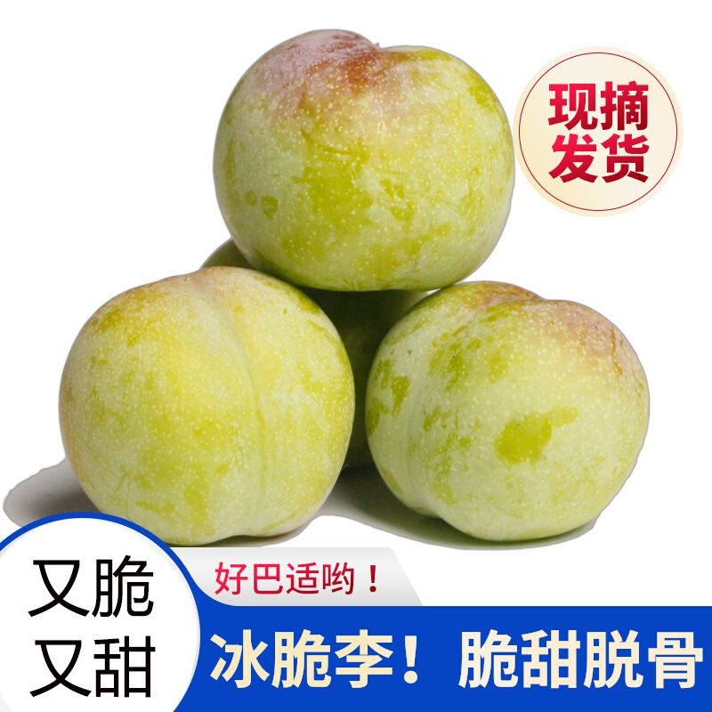 四川正宗李子脱骨李脆李子宜宾半边红江安李子带10斤农家现摘茵红