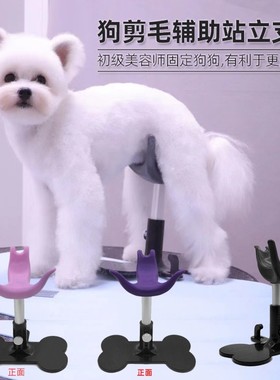 瑞宠魔梯MOTI犬辅助站立支架美容师固定狗狗用网红宠物关爱小板凳