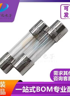 玻璃保险丝管T125/200/250/315/400/500/630/800mAL250V延时进口