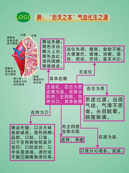 733海报印制展板274中医养生心肝肺脾肾2脾后天之本气血化生之