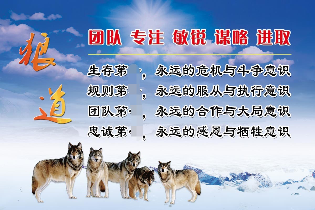 m768狼道狼性团队精神企业公司文化标语53谋略喷绘写真海报印制