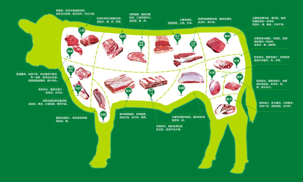 765海报展板写真喷绘印制贴纸435牛肉分割分解部位示意图