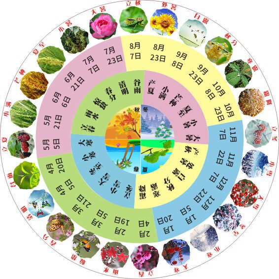 m769二十四节气24节气春夏秋冬风俗节日202海报印制展板写真喷绘