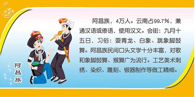 m769阿昌族文化简介56个民族课室布置装饰画贴纸挂图1583海报印制