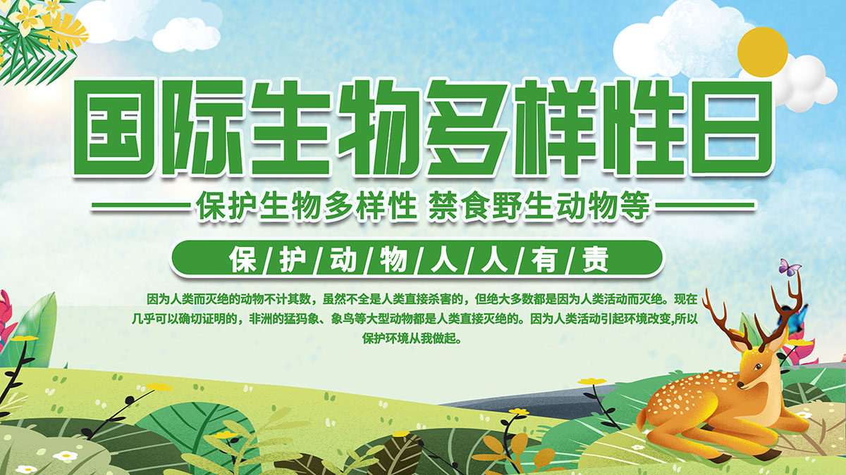 m768国际生物多样性日禁食野外动物宣传画968展板喷绘海报印制