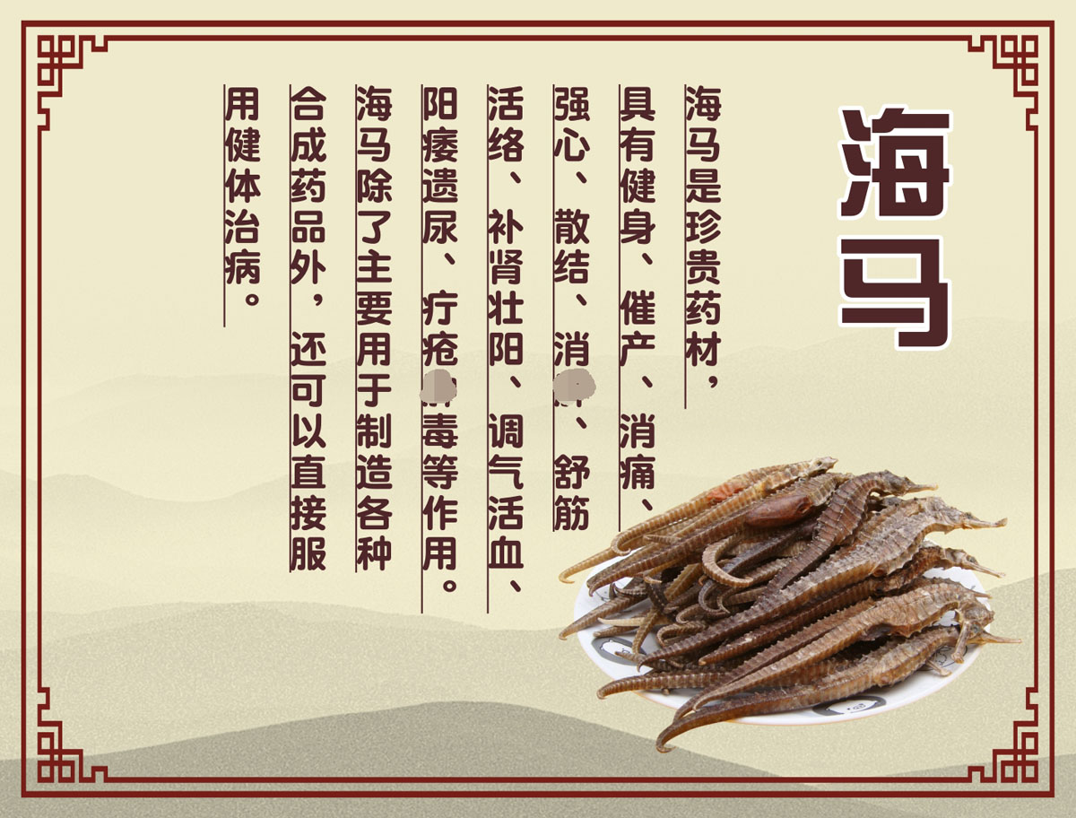m769医院药店房中药海马功效介绍983海报印制展板喷绘14-12