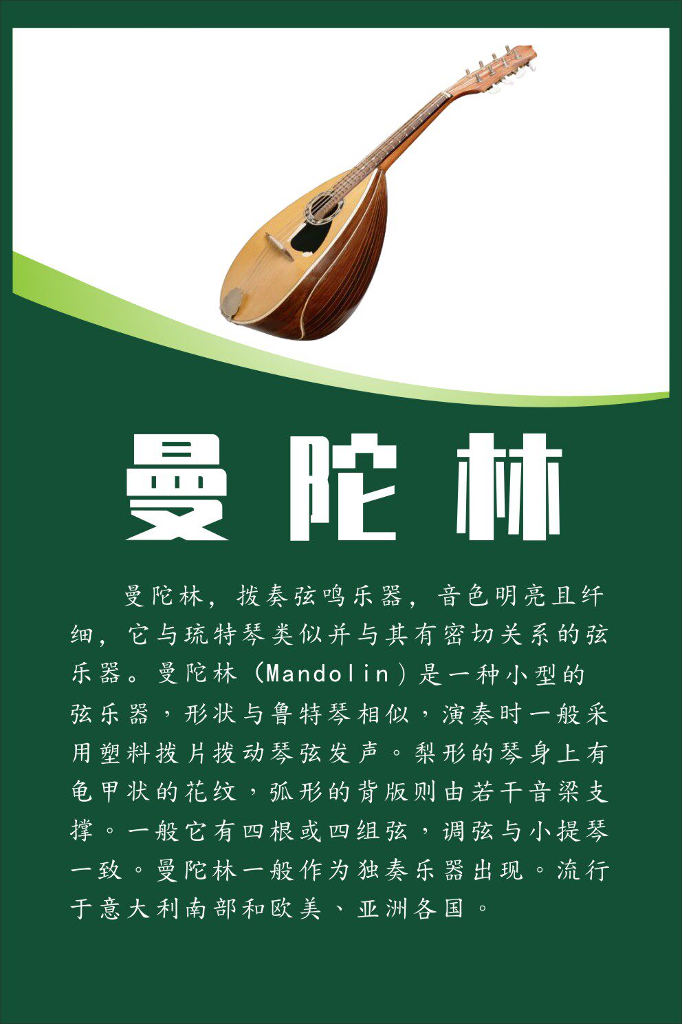 m768艺术中心琴行音乐教室乐器大号曼陀林简介2617海报印制展板