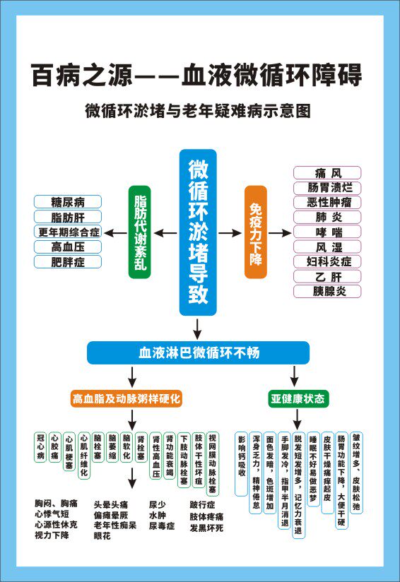 m769人体血液微循环障碍淤堵与老年病示意图1462海报定制印制展板