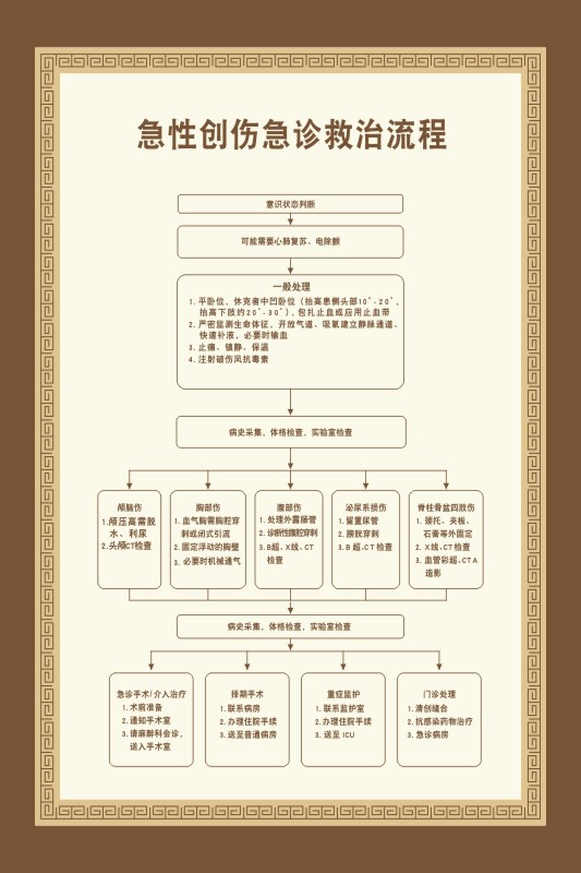 m771医院急性创伤急诊救治操作流程墙贴纸挂图展板海报定印制2216