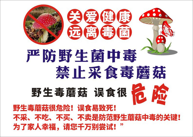 m769严防野生菌中毒禁止采食用毒蘑菇标示警示牌1869海报印制展板