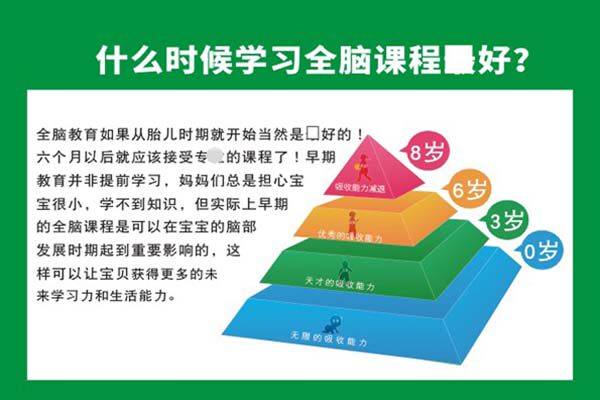m771儿童大脑学习全脑课程的年龄全脑发育教育海报印制展板喷绘41