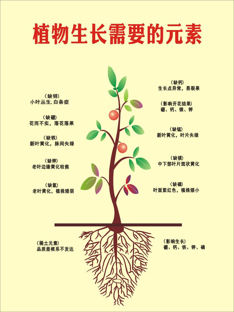 m769农业植物生长所需要的元素营养要素873海报印制展板喷绘写真