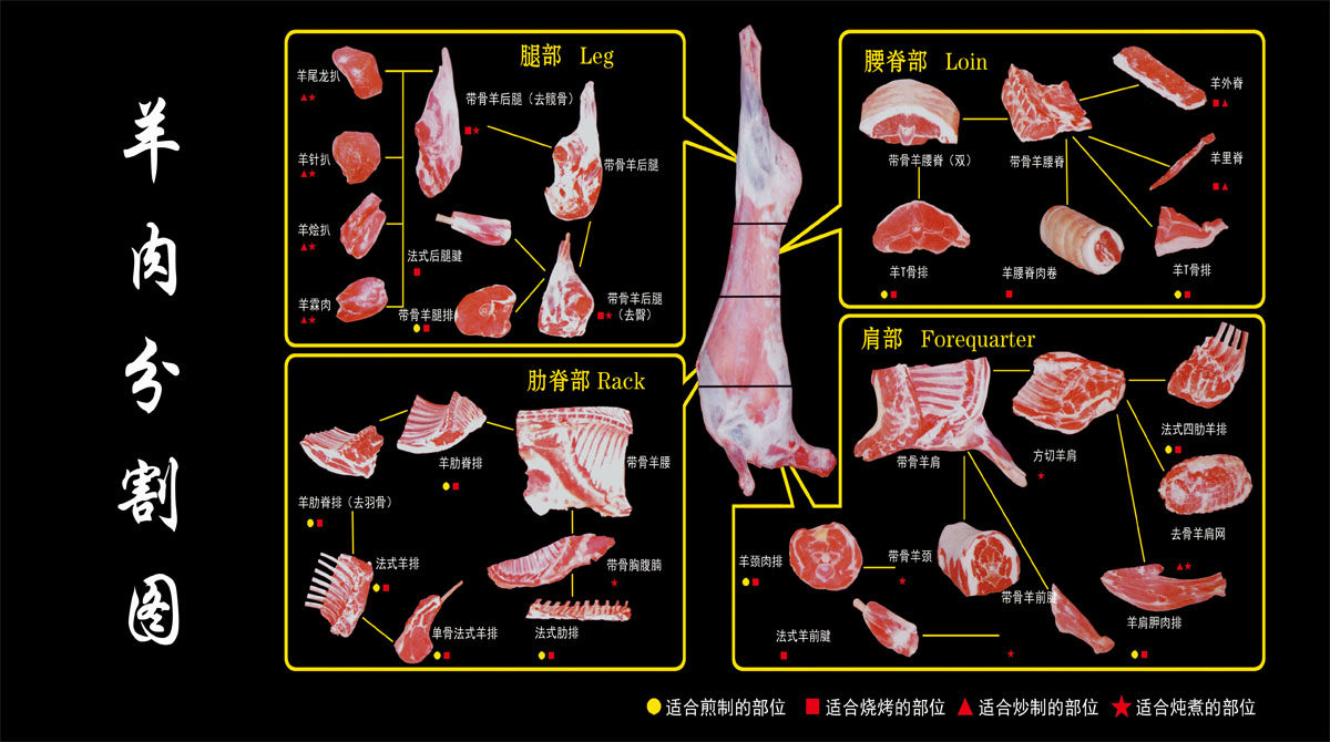 767海报印制展板写真喷绘贴纸393市场超市羊肉分割切部位图