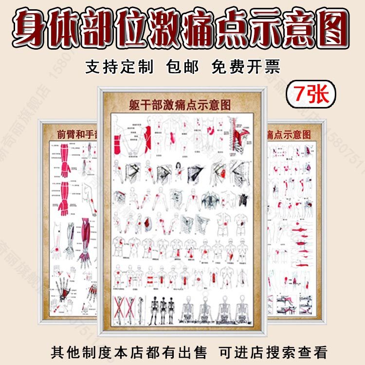 m771躯干头颈手肌筋膜肩臂髋大腿激痛点示意图海报印制kt展板454
