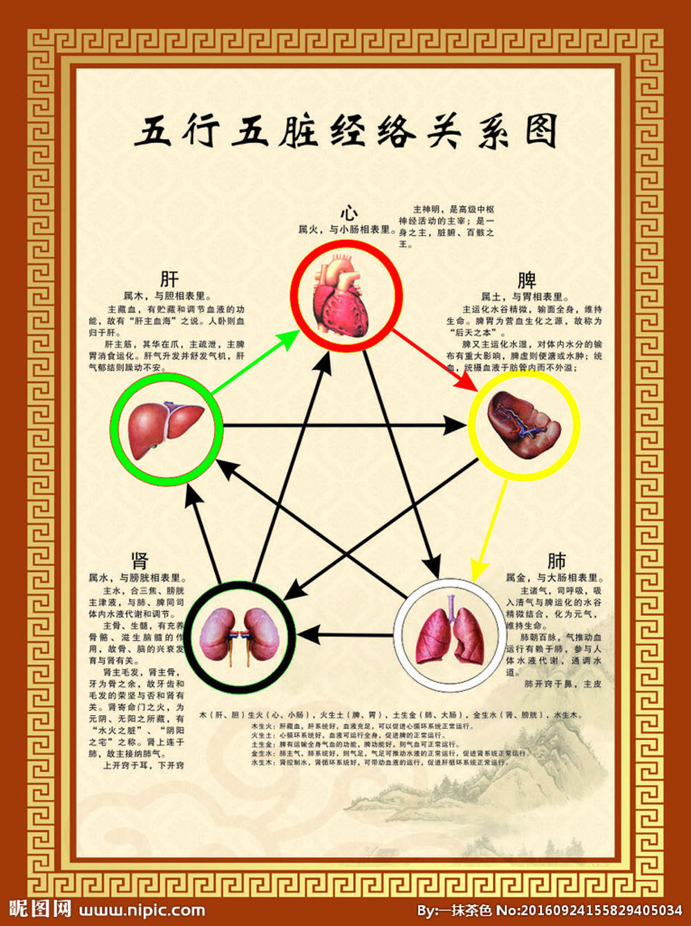 中医经络五行图解,中医五行,五行图_大山谷图库
