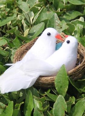 卡萝琳羽毛园林婚庆装扮风小白鸽