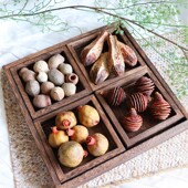 天然风干石榴果植物螺旋果豌豆葫芦乡村复古拍摄道具摆件干花装 饰